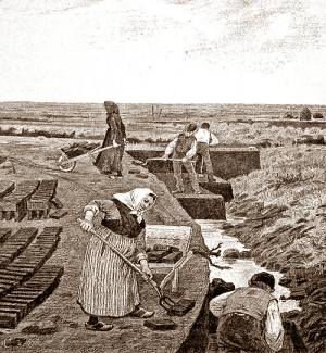 Men digging in a trench, women laying out rows of turves